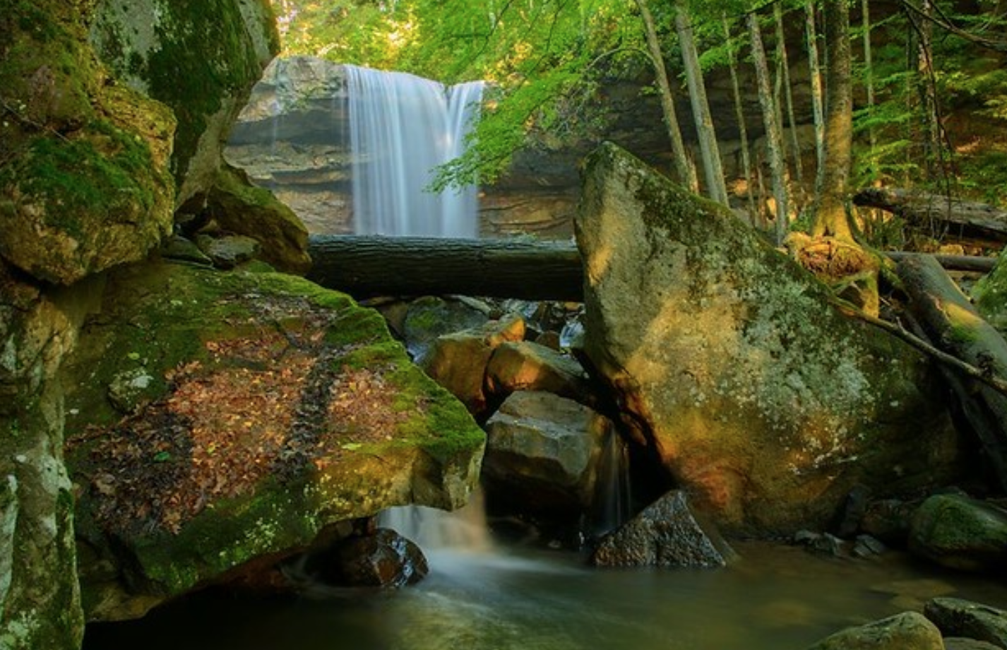 Ohiopyle State Park
